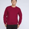 SWEATSHIRT HANORAC HEAVY BLEND