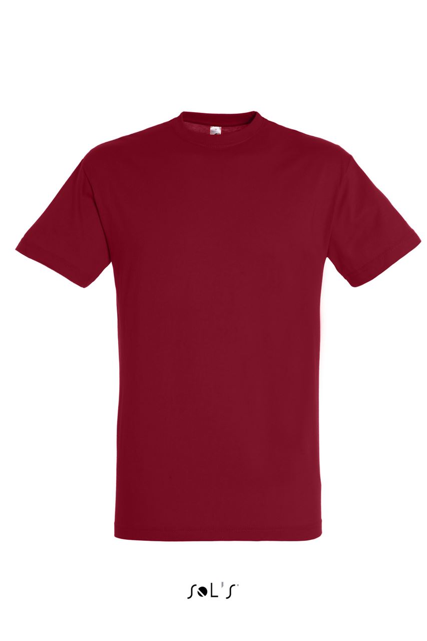 T-SHIRT TRICOU CLASIC SOLS REGENT UNISEX T-SHIRT TRICOU CLASIC SOLS REGENT UNISEX