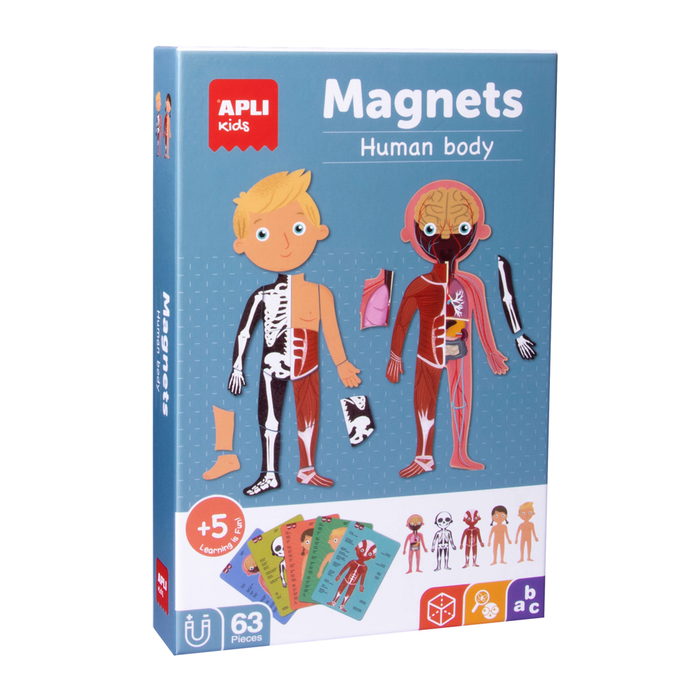 Set magneti Apli, corpul uman Set magneti Apli, corpul uman
