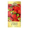 Ceai capsuni Belin, 20 plicuri/cutie Ceai capsuni Belin, 20 plicuri/cutie