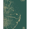 Caiet capsat A4 Forever Clairefontaine, 48 file, dictando hartie reciclata, verde pin