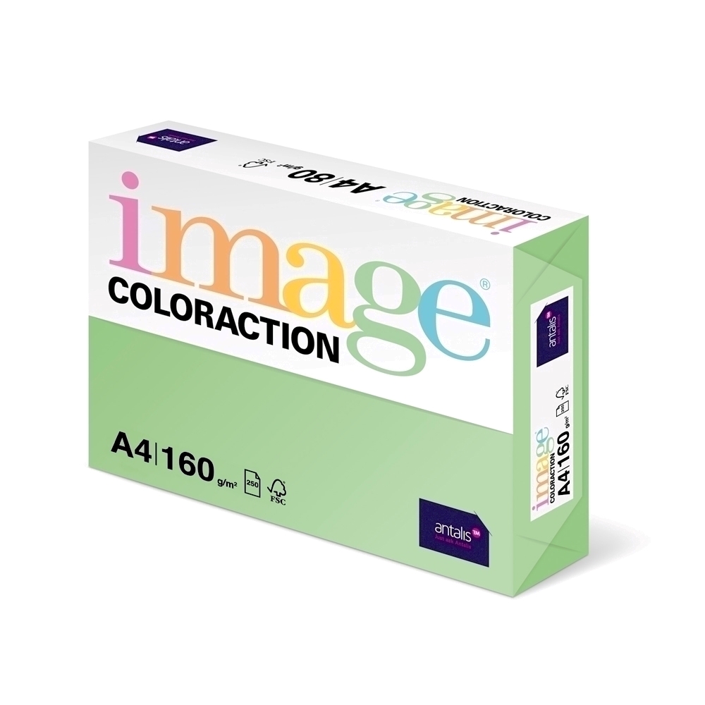 Carton color Coloraction, A4, 160 g/mp, verde padure-Forest, 250 coli/top Carton color Coloraction, A4, 160 g/mp, verde padure-Forest, 250 coli/top