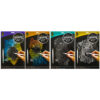 Set Creative Craft, de razuit A4, diverse modele