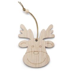 Hanger RENS