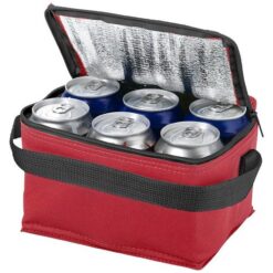 Spectrum 6-can cooler bag 4L