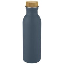 Kalix 650 ml stainless steel water bottle