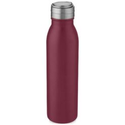 Harper 700 ml stainless steel water bottle with metal loop