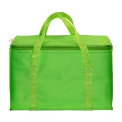 Cooler bag with silver interior