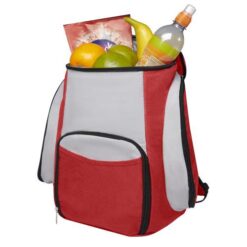 Brisbane cooler backpack 20L