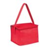 Non woven cooler bag Nieby