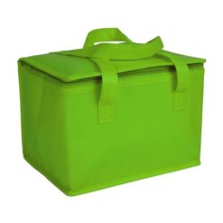 Laminated non-woven fabric cooler bag with silver interior Laminated non-woven fabric cooler bag with silver interior