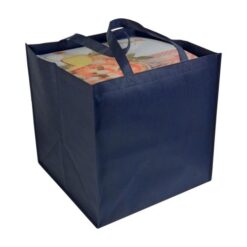 80 g/m2 non-woven fabric pizza shopping bag 80 g/m2 non-woven fabric pizza shopping bag