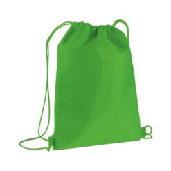 210T polyester insulated backpack with drawstring closure 210T polyester insulated backpack with drawstring closure