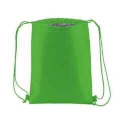 210T polyester insulated backpack with drawstring closure