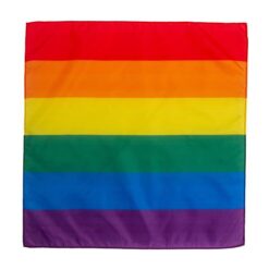 45 gr/m2 polyester scarf/bandana