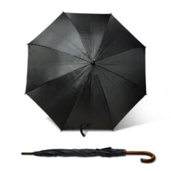 Umbrella STICK