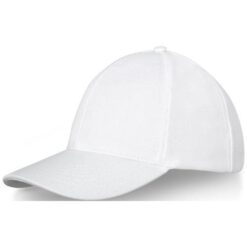Drake 6 panel trucker cap Drake 6 panel trucker cap