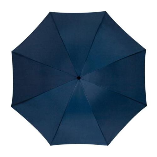 Automatic umbrella, plastic handle Automatic umbrella, plastic handle