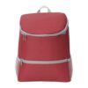 Cooler backpack
