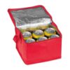 Non-woven cooling bag - 6 cans