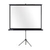 Ecran de proiectie cu tripod Legamaster, 180 x 240 cm Ecran de proiectie cu tripod Legamaster, 180 x 240 cm