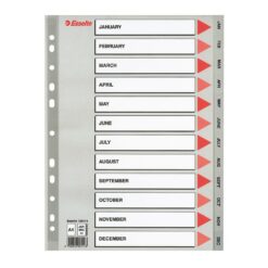 Index din plastic Esselte, A4, index Ianuarie-Decembrie