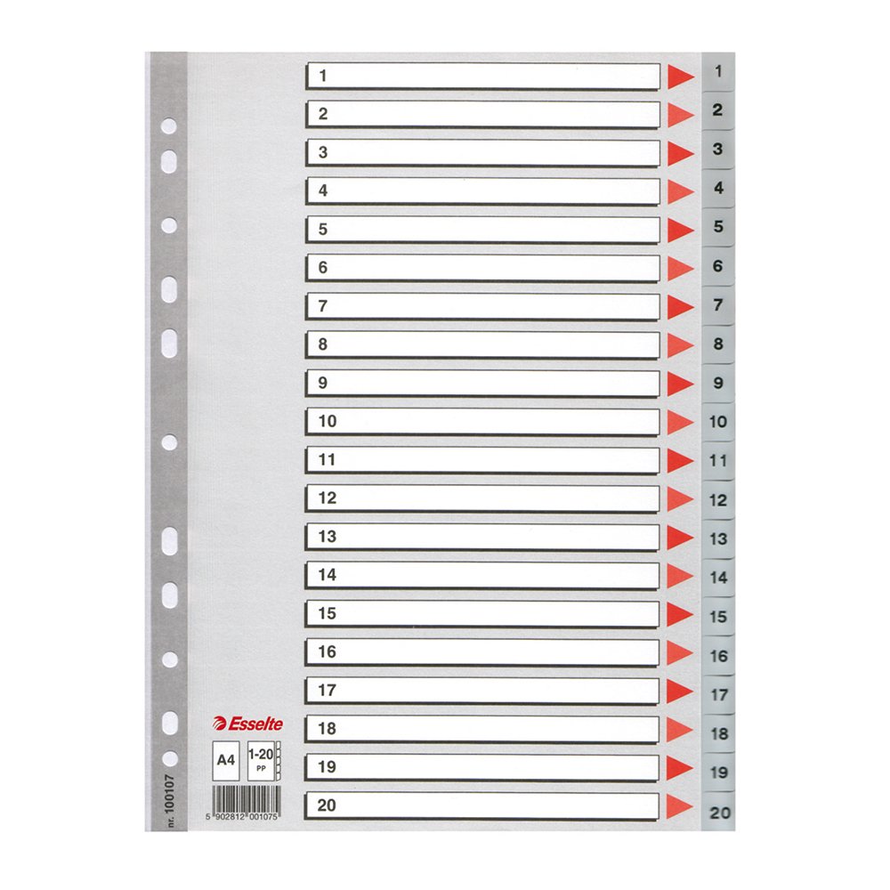 Index din plastic Esselte, A4, index 1-20 Index din plastic Esselte, A4, index 1-20