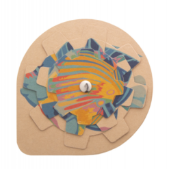 Spinalis Eco