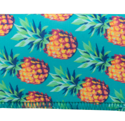Suncase