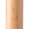 Moltex
