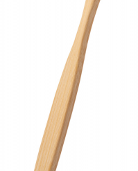 Lencix