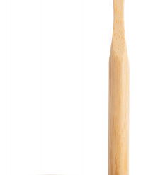 Korol