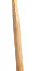 Korol