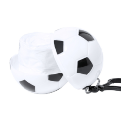 Gol