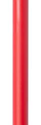 Brincio