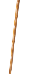 Tamdar