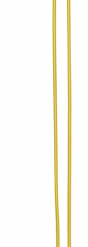 Sigex