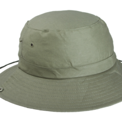 Safari