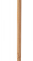 Bovoid