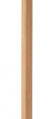 Bovoid Bovoid