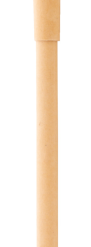 Nopyrus