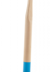 Dentarius