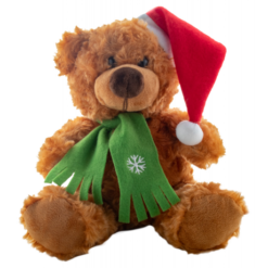 Ursus Ursus