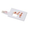 Creditcard. USB flash 16GB MO1059-06 Creditcard. USB flash 16GB MO1059-06